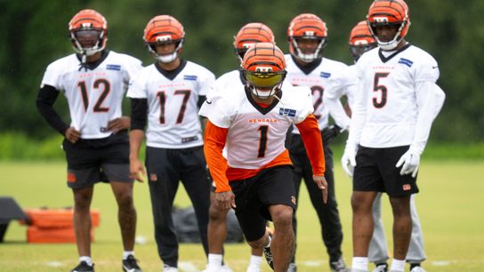 Wide Receiver Ranks and Tiers (fantasy rankings)