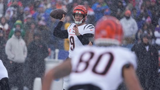 Fantasy Football Position Rankings, Week 15 (fantasy rankings)